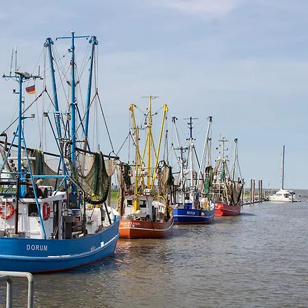 Knechtsand 09 * Dorumer Neufeld