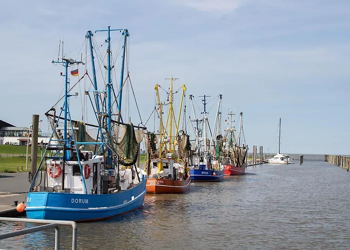 Knechtsand 09 * دورم نيوفيلد